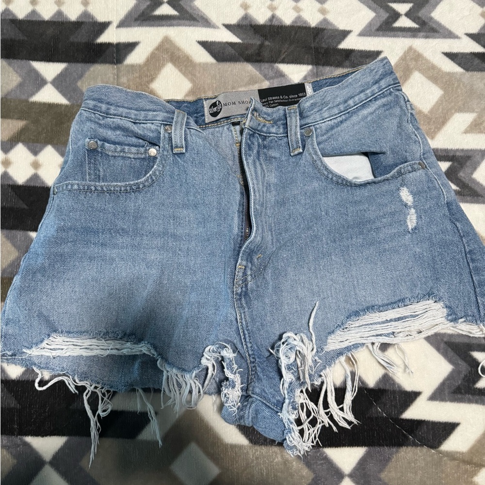 Levi's silvertab